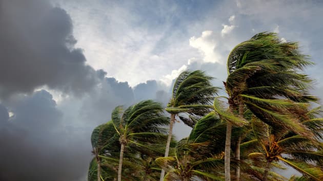 Storm Hawk M.C.C. Deployment Report: Tropical Storm Wind Analysis — Navarre, Florida